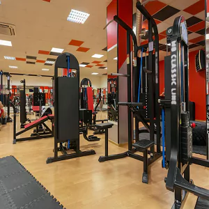 Gymnasium